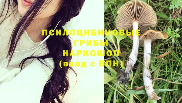 синтетический гашиш Балахна